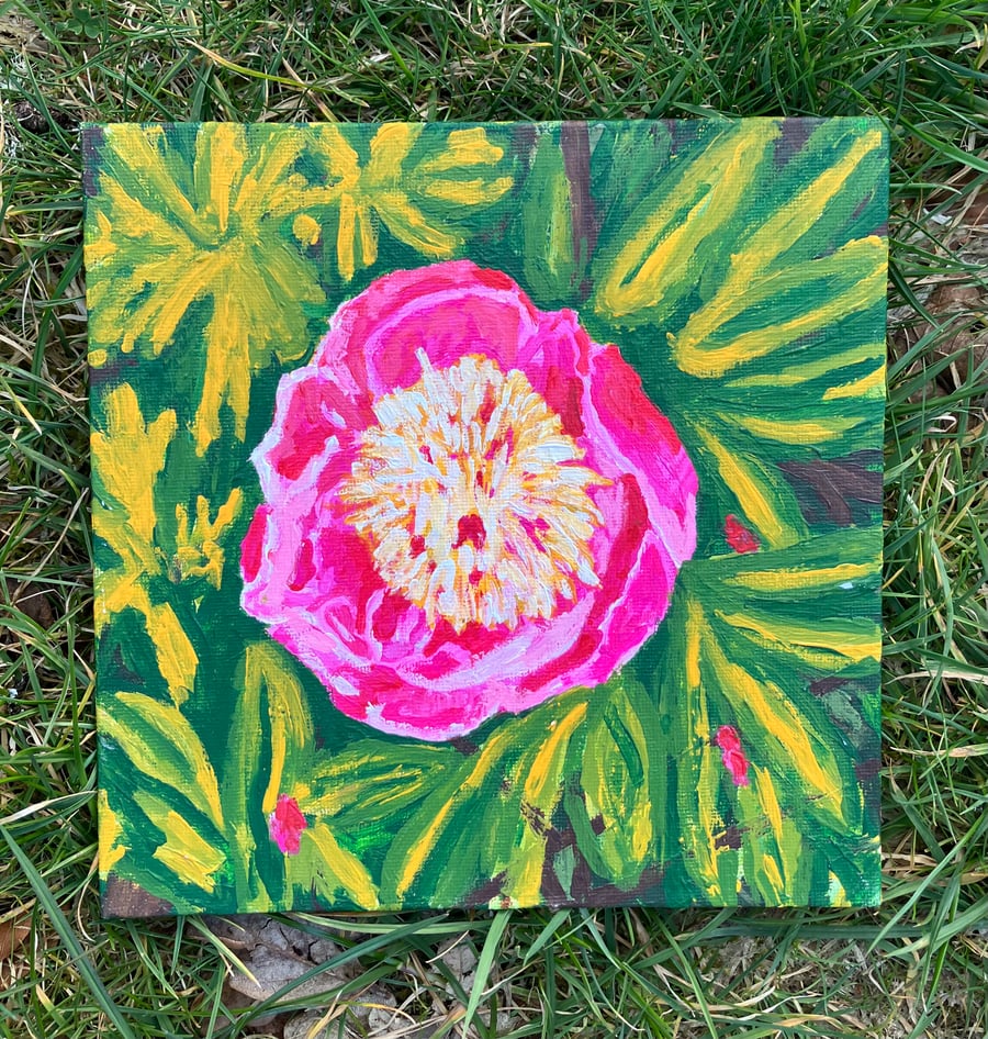 Peony flower original acrylic painting 