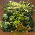 The Verdant Glade 50cm x 50cm Luxury Handmade Faux Green Wall