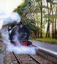 Acrylic Painting of a Train on the Poppy Line in North Norfolk card or print - Image 2