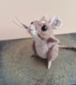 Mischief Mouse - Rodger - Image 4