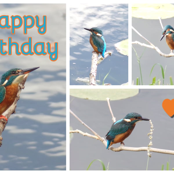 Happy Birthday Kingfishers Card A5