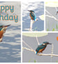 Happy Birthday Kingfishers Card A5 - Image 1