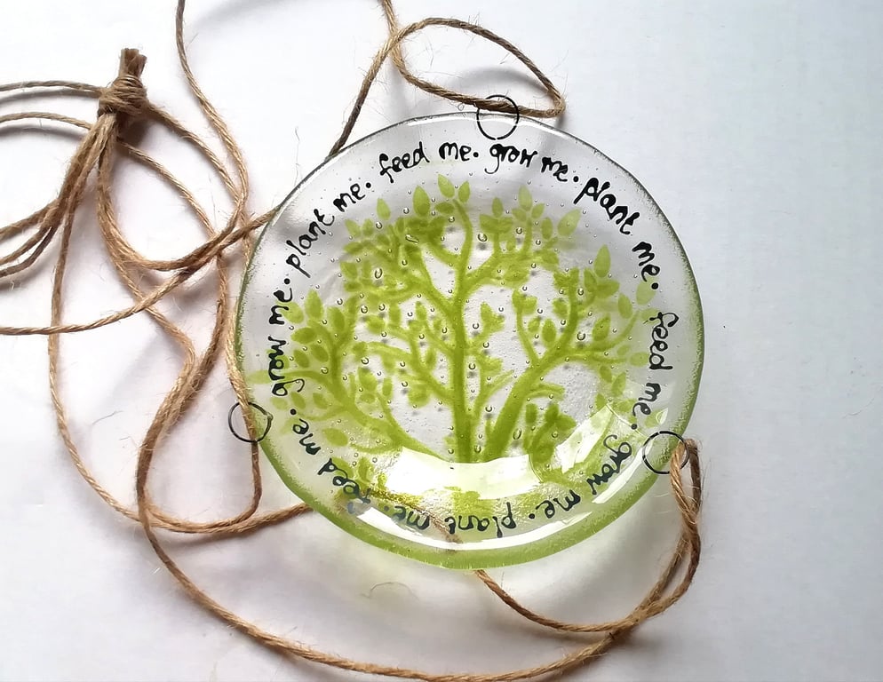 Fused Glass Houseplant Hanger: Indoor Plant Drip Tray