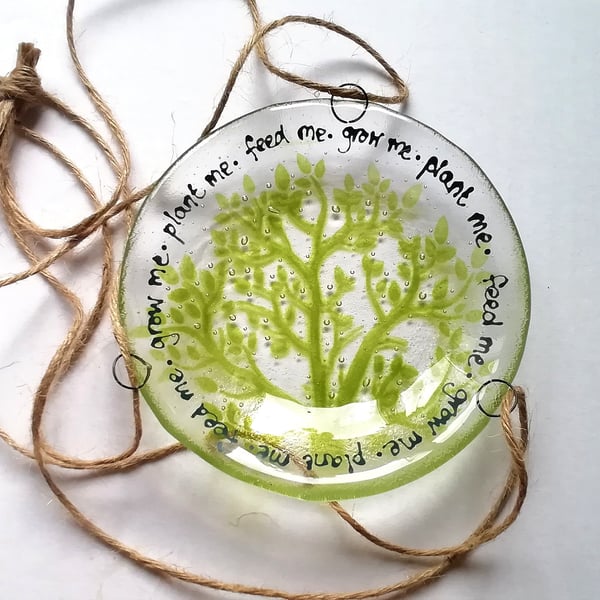 Fused Glass Houseplant Hanger: Indoor Plant Drip Tray