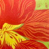 Hannah Doyle Printmaker