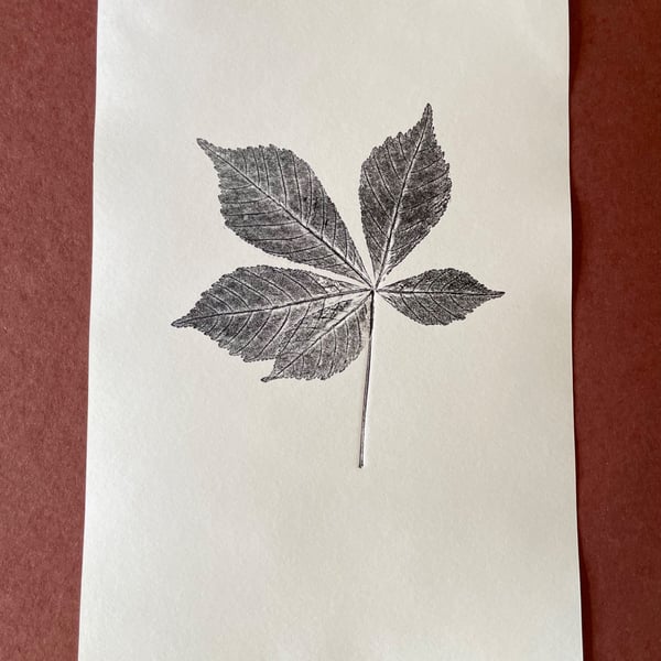Horse Chestnut Leaf Print 