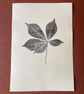 Horse Chestnut Leaf Print 