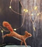 Tiny Squirrel - Image 5