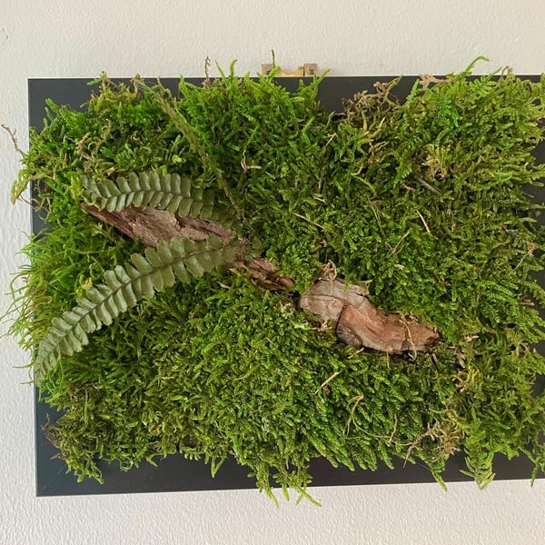 Framed Forest Vignette (6 of 6)