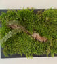 Framed Forest Vignette (6 of 6)