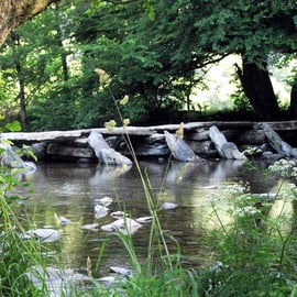 Tarr Steps