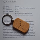 Constellation Keyring - Cancer