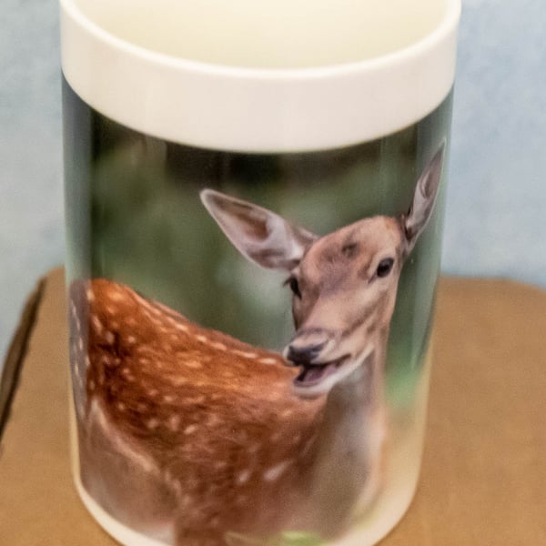 Fallow Deer Porcelain Photo Mug