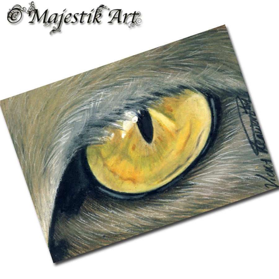 Archival ACEO Cat Print 'Cats eye' By V Kenworthy