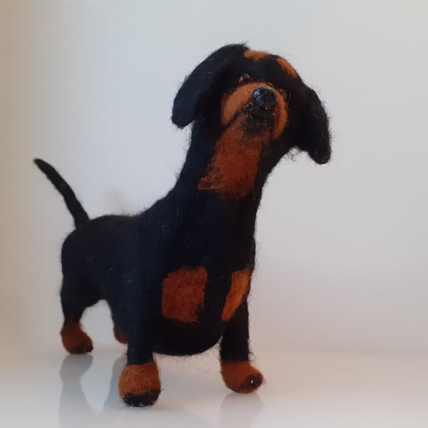 Daschund dog,pet ooak,collectable needle felted wool sculpture 