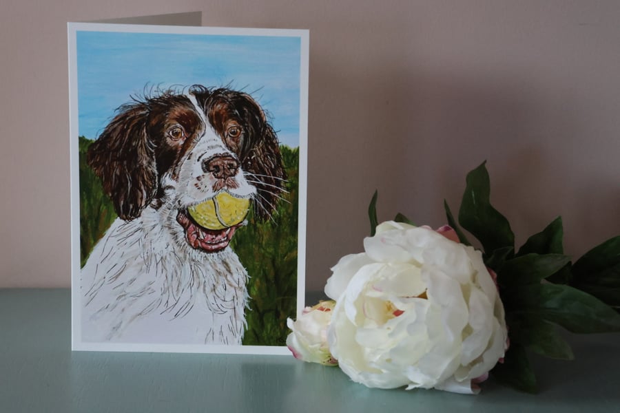 Springer Spaniel Blank Greetings Card
