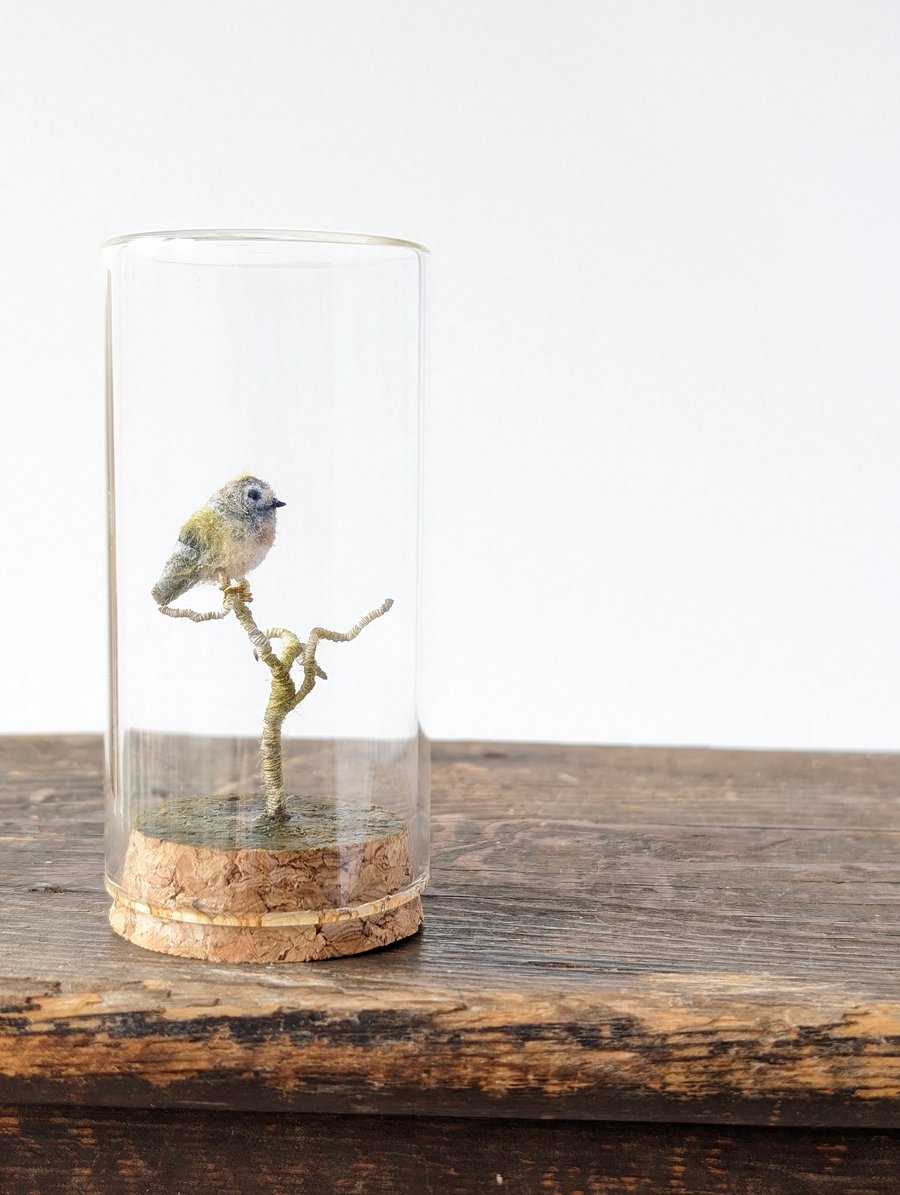 Tiny Goldcrest in a jar