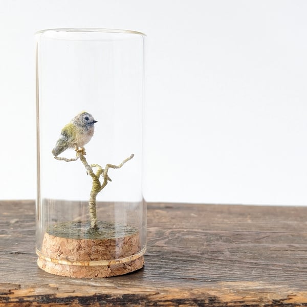 Tiny Goldcrest in a jar