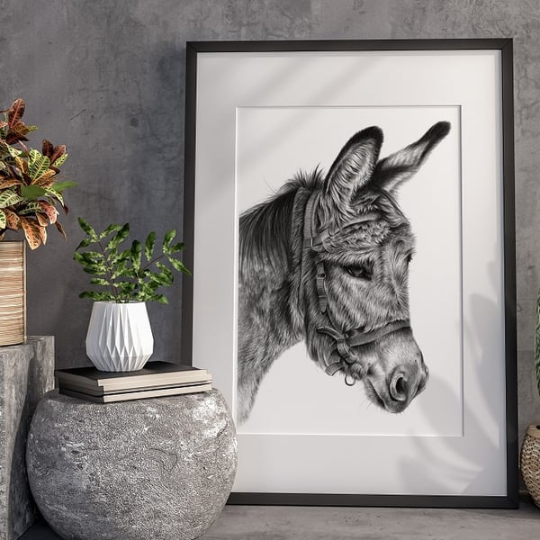 Fine art giclée print of a Donkey