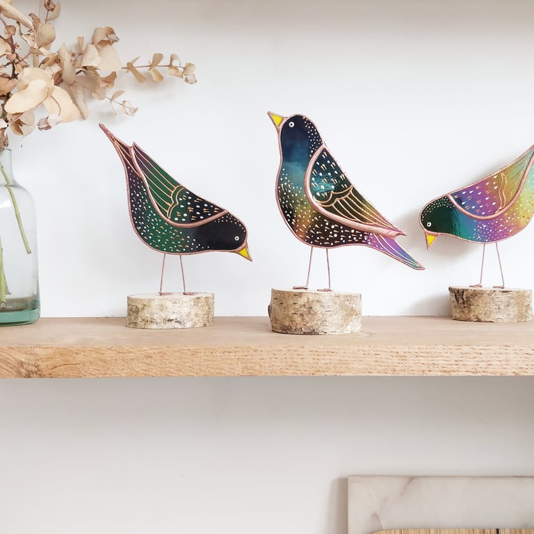 Starling 