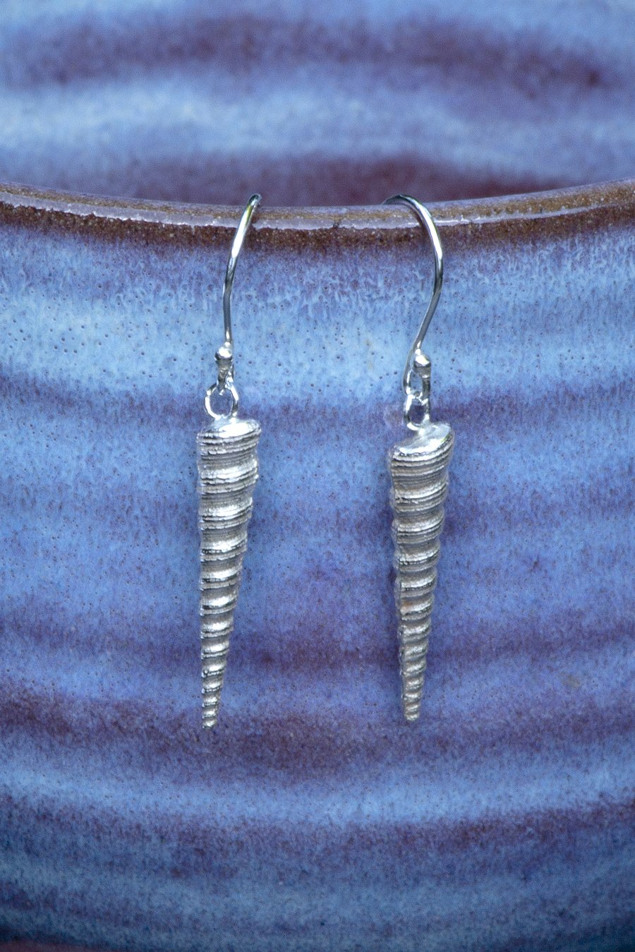 Turritella shell earrings