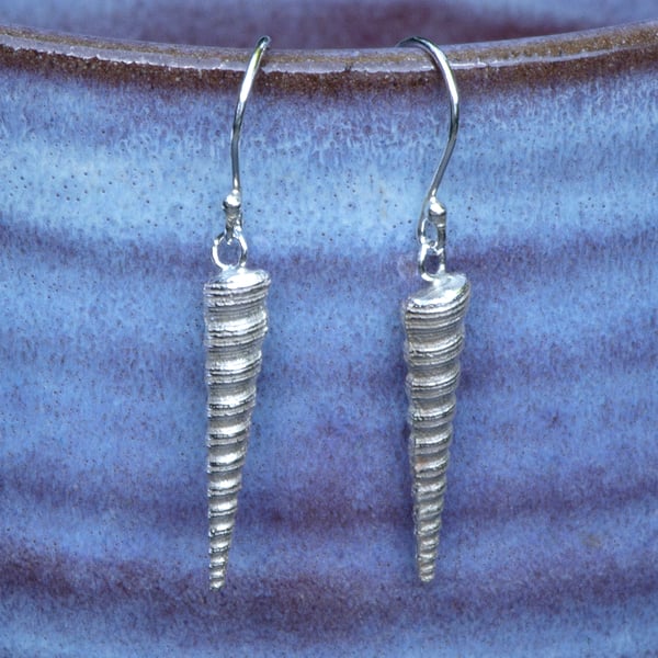 Turritella shell earrings