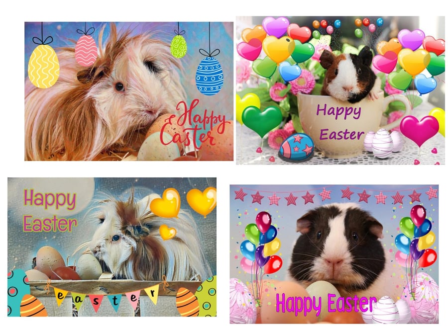  Pack of 4 Guinea Pig Cards A5 