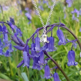 Bluebell Necklace Ripe