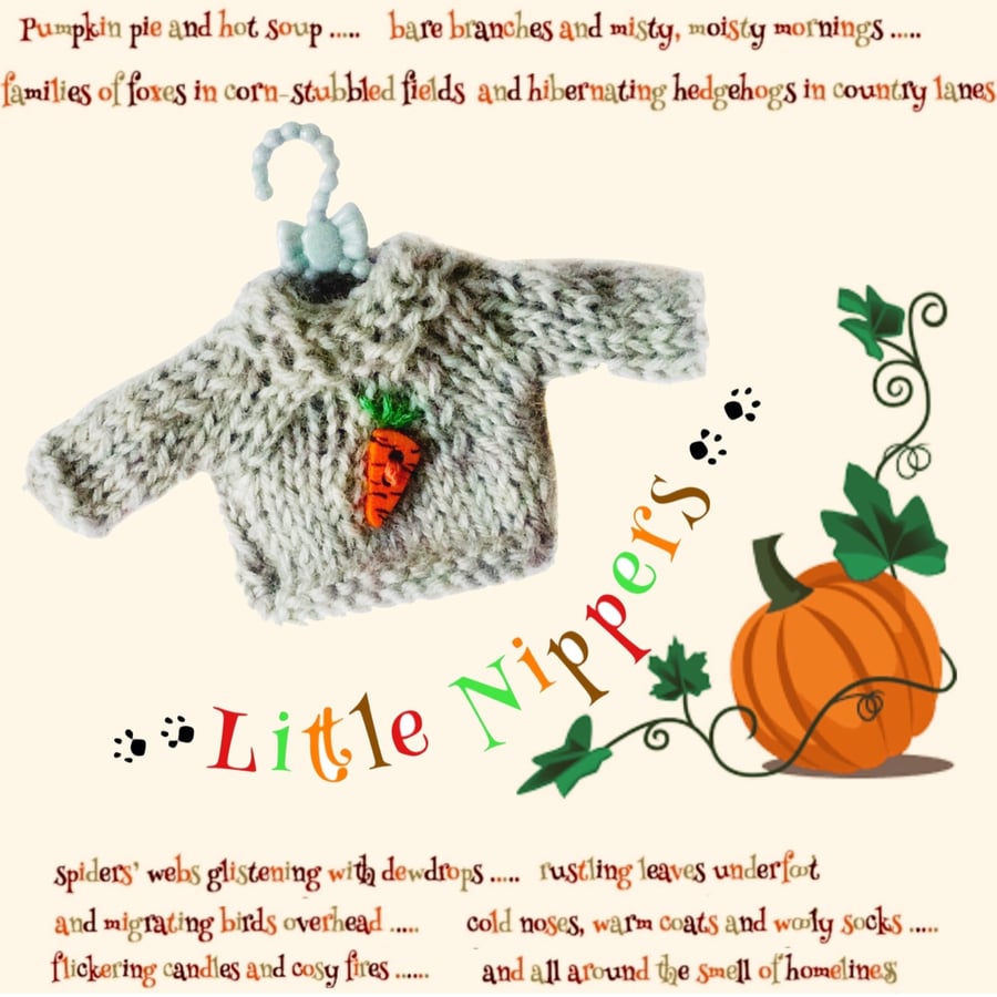 Reserved for Sue- Little Nippers’ Carroty Jumper 