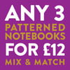 BUNDLE OPTION – Any 3 A6 Notebooks offer