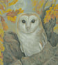 4x Golden Oak Owl Art Cards - Image 3