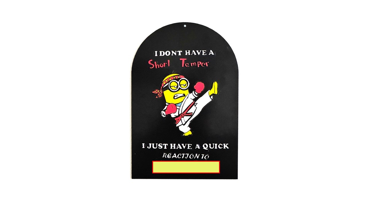 Minion Karate Plaque - Funny wall sign