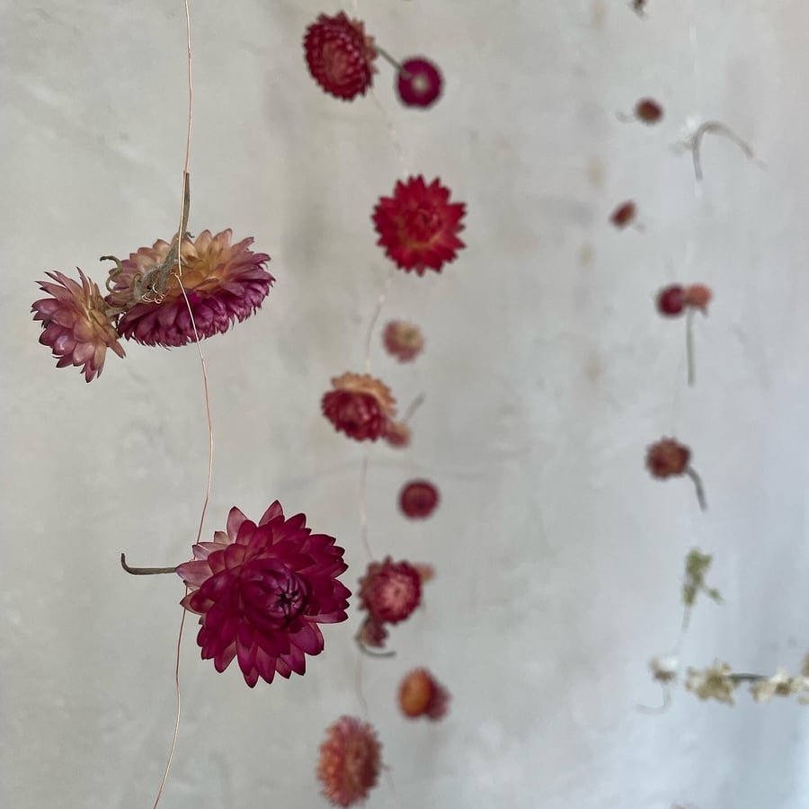 Real Dried Flower Strings, to hang indoors, sold in sets of three. 
