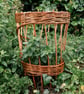 Willow Plant Support Weaving Kit, Natural Garden Craft Project - Image 9