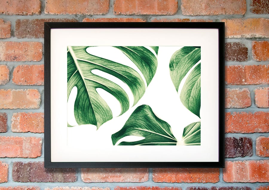 Monstera leaf wall art, Monsteara plant gifts, Green living room décor 