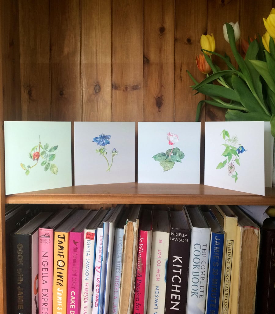 Pack of 4 Mixed Watercolour Print Cards