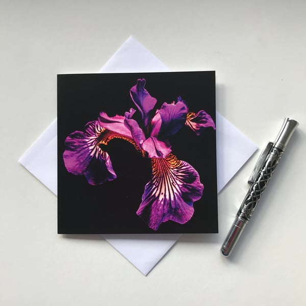 Photographic greetings card of a beautiful iris flower, ideal as a get well card