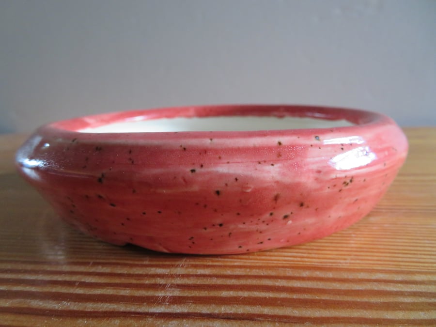 Small deep rose bonsai pot