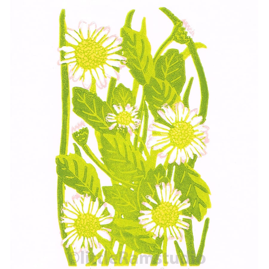 Daisies - Limited edition Linocut Print