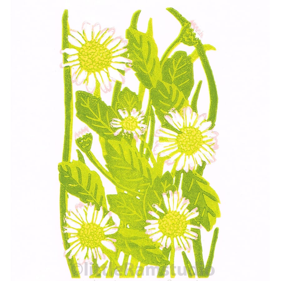 Daisies - Limited edition Linocut Print