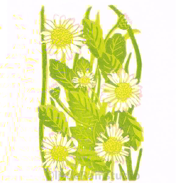 Daisies - Limited edition Linocut Print