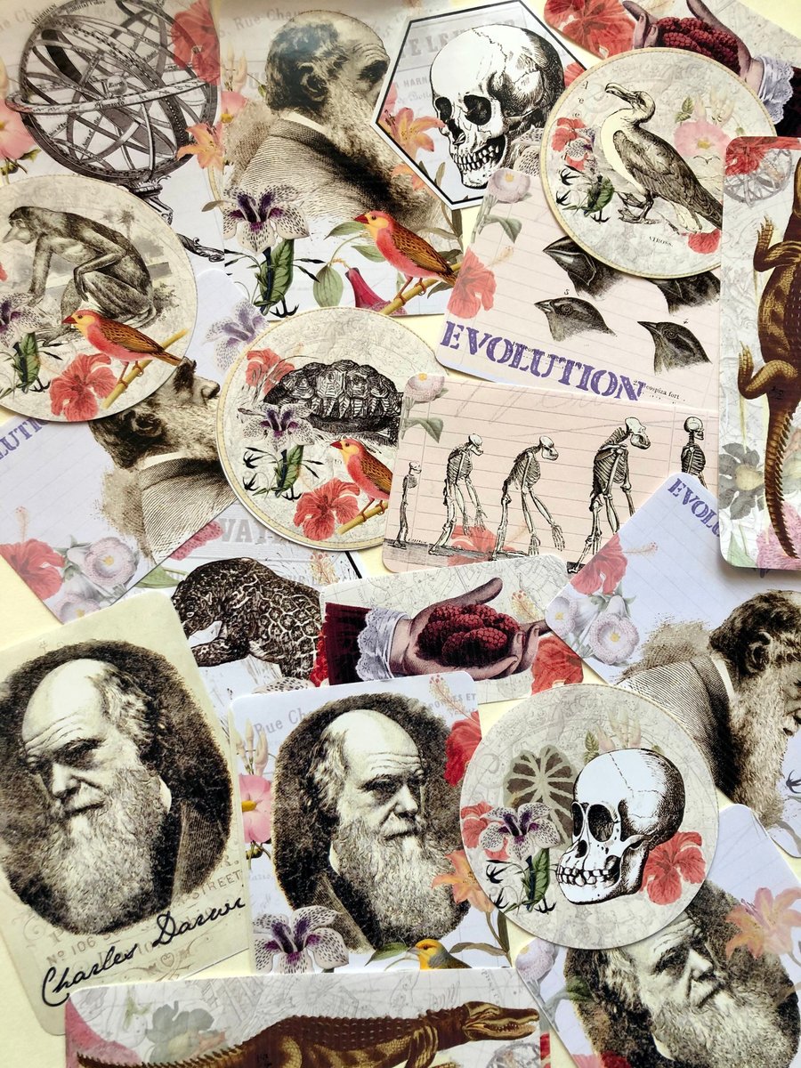 Charles Darwin stickers - Beautiful Botanic style stickers
