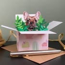 Frenchie Card; Personalised or blank. French Bulldog in a box gift card holder