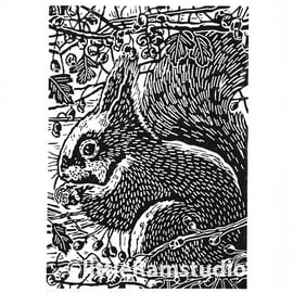 Squirrel art - Squirrel in the Hawthorn  - Original Linocut Print in black