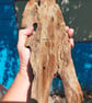 Blitz Timber 5 - Image 8
