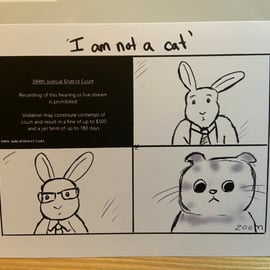 I'm not a cat funny lawyer zoom call card