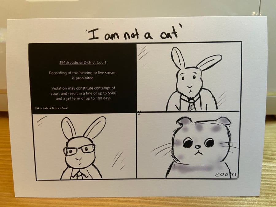 I'm not a cat funny lawyer zoom call card