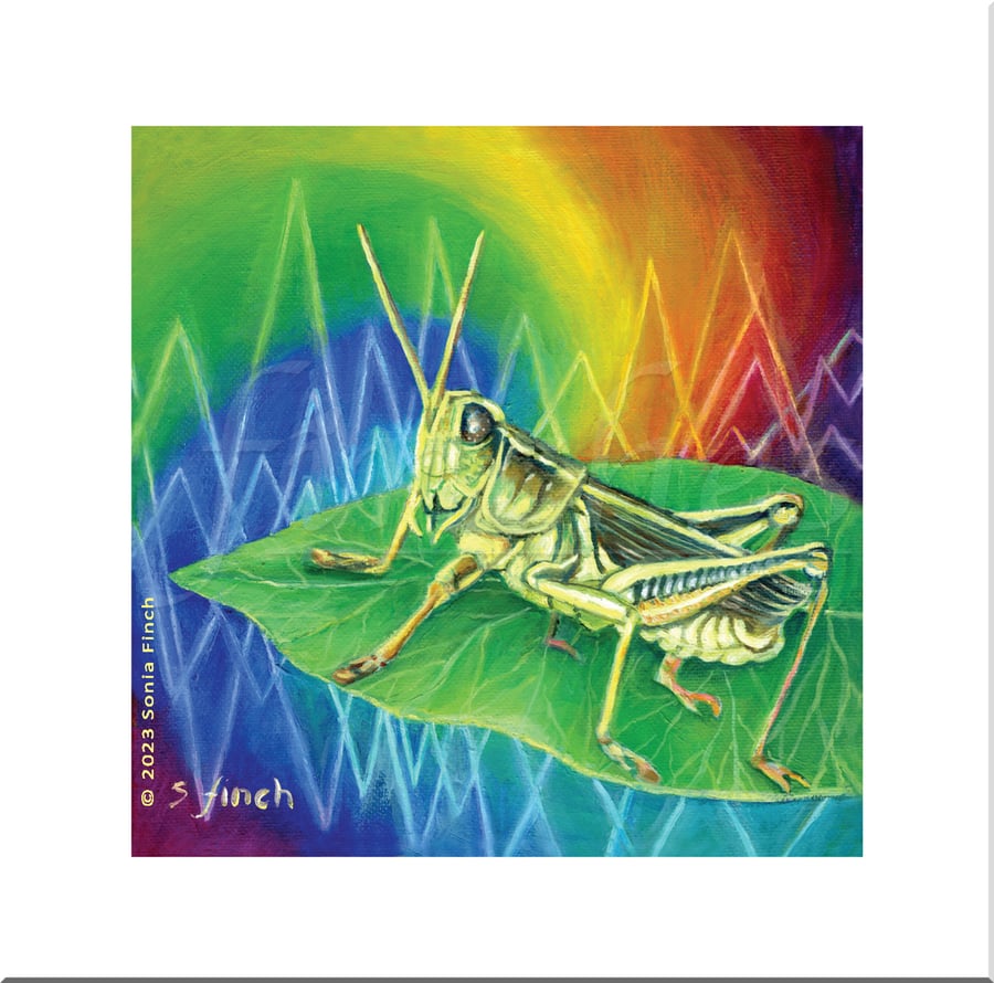 Spirit of Grasshopper - Blank Greeting Card with nature spirit totem message