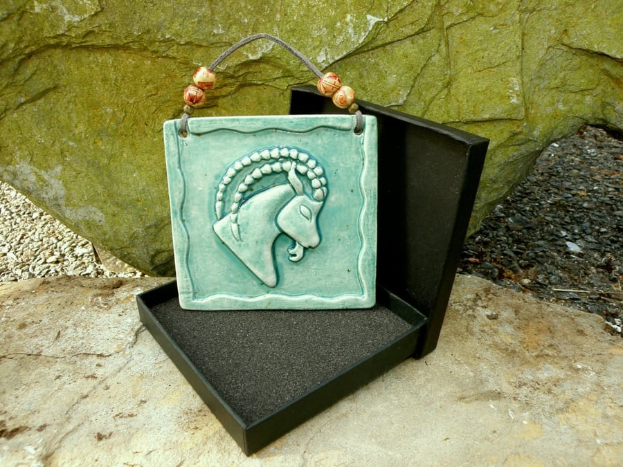 Zodiac sign wall hanging CAPRICORN wall ornament pottery birthday present       