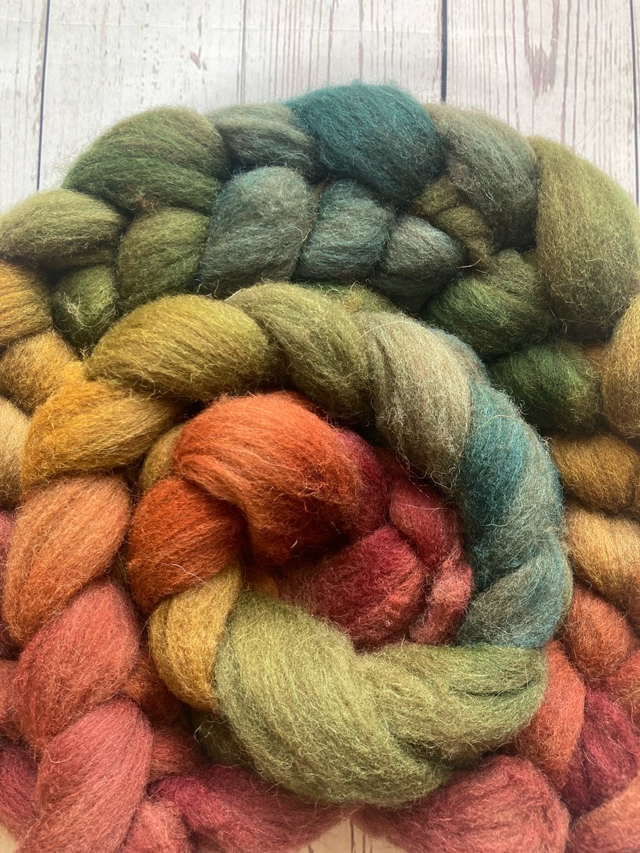 Moorit Shetland Spinning fibre 100g Rosy Apples